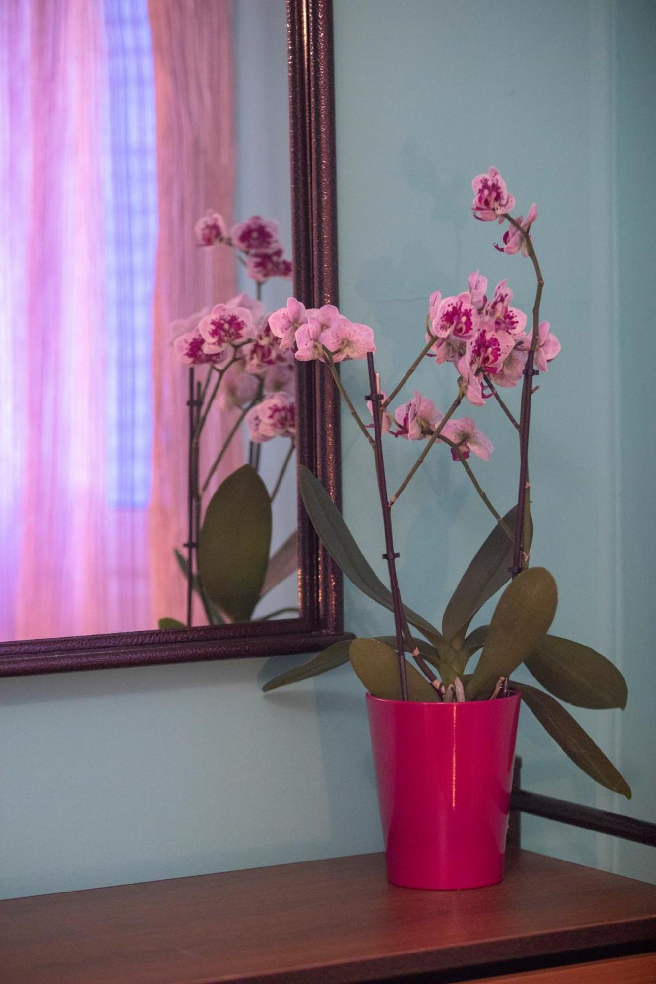 Markem Village House Katouna Екстериор снимка